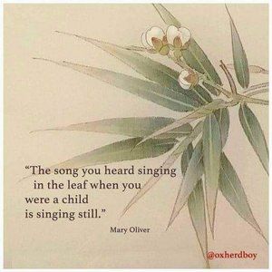 Meet your Posher, Mary jo